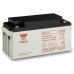 akumulátor Yuasa NP65-12 (12V/65Ah)